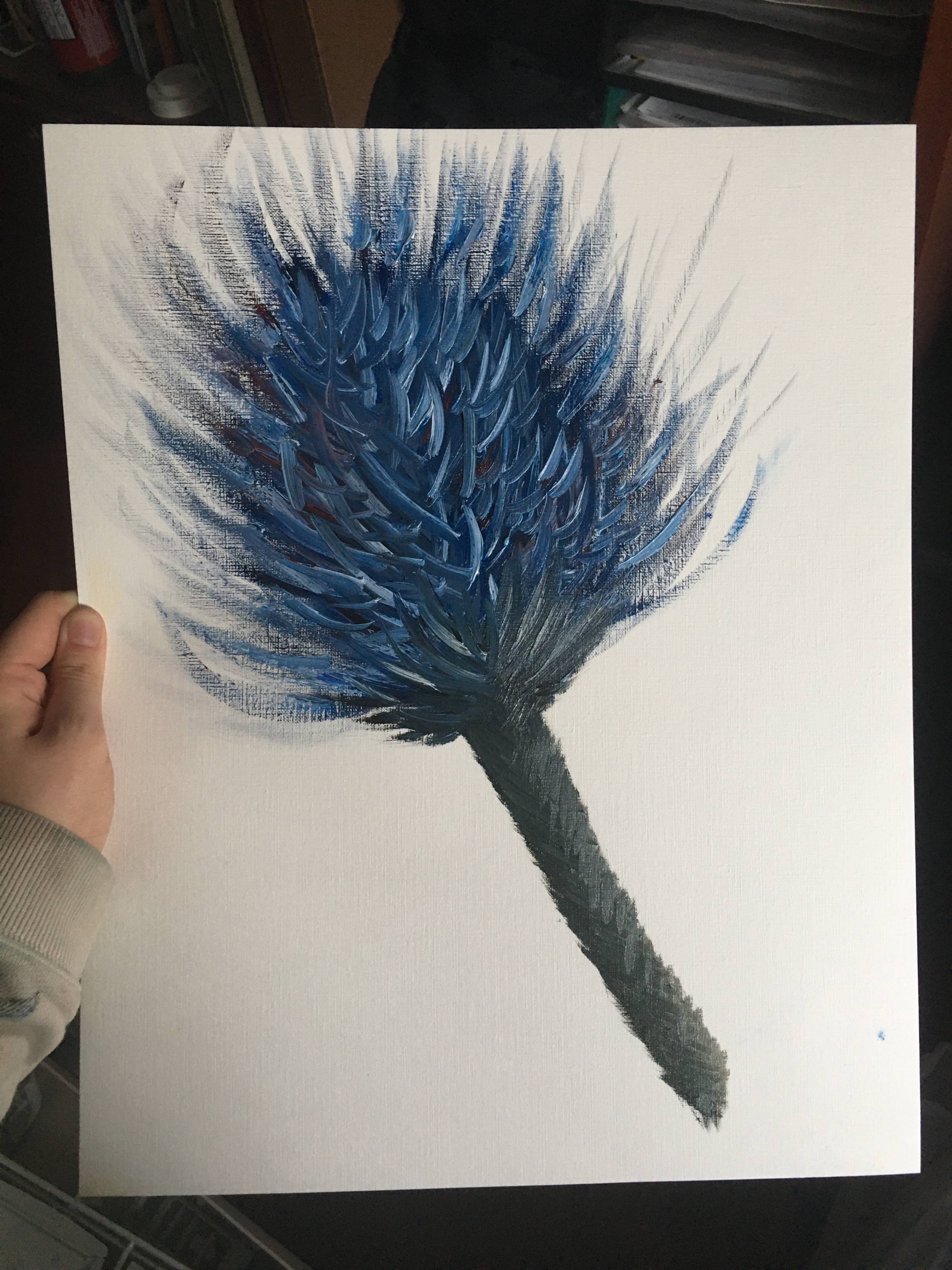 thistle (study)