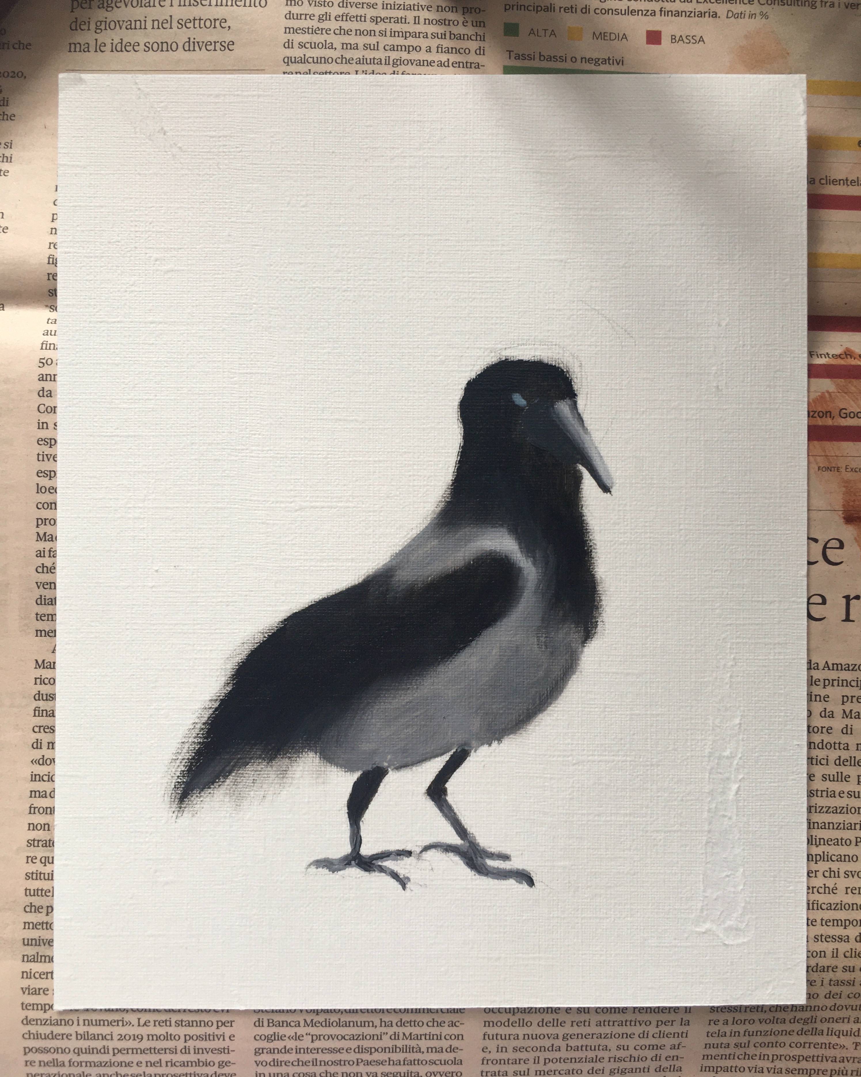 crow (study)