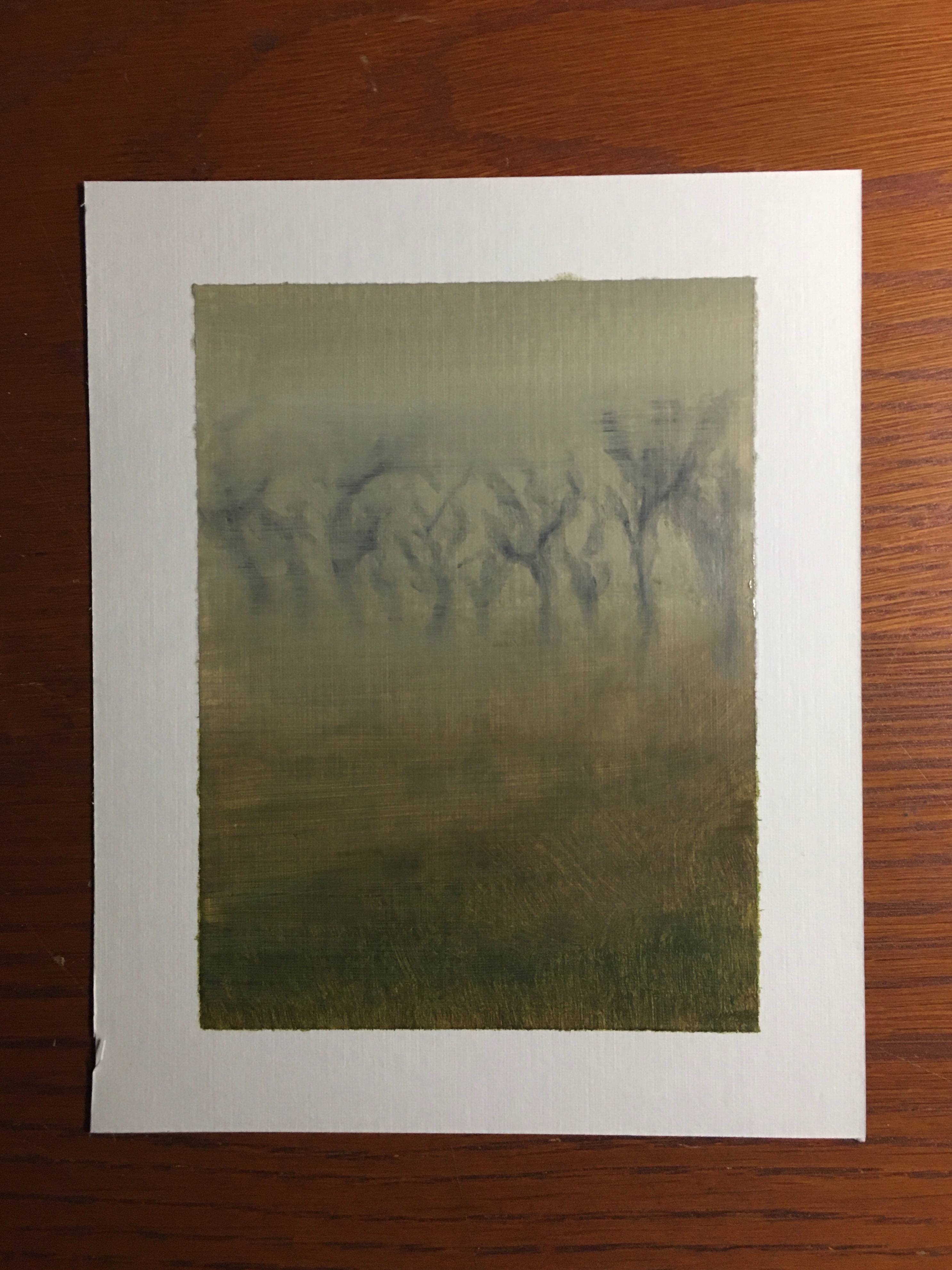 field (fog)