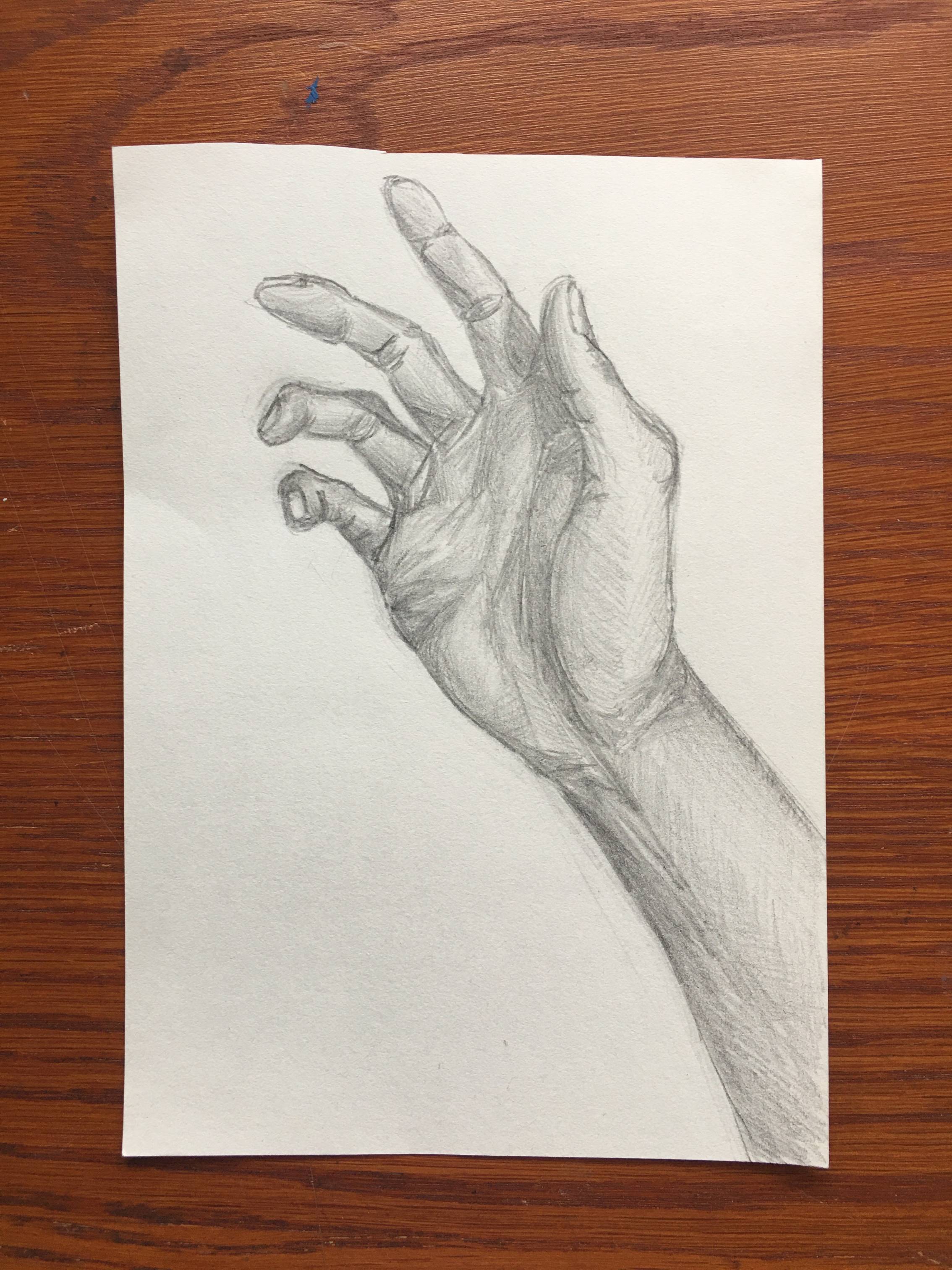 hand (study)