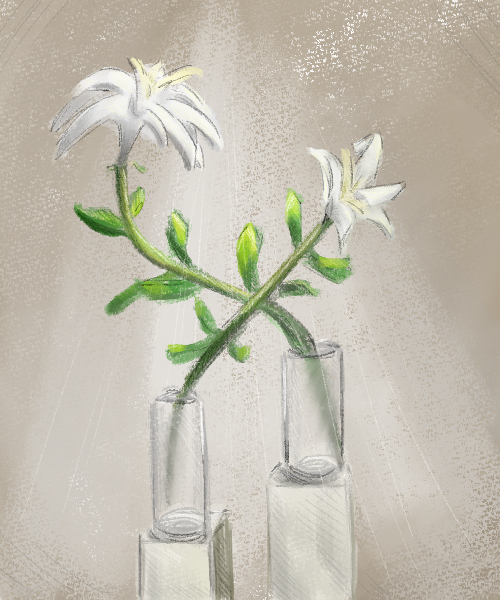 lilies (study)